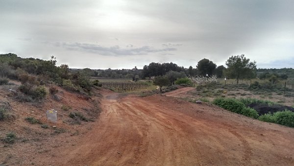 IMAG0097
