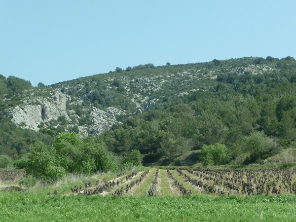 P1050169