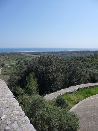 P1050171