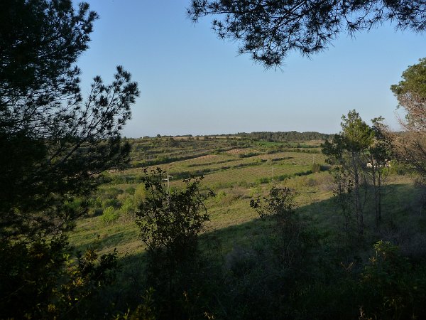 P1050205