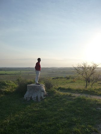 P1050213