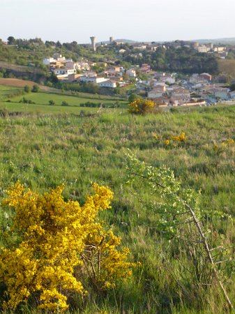 P1050215