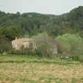 DSCF2154