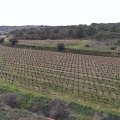 IMAG0104