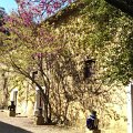 IMAG0123