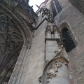 WP_000867