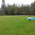 WP_001070