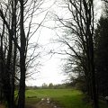 WP_001084