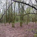 WP_001086