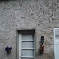 WP_001091