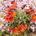 WP_001103
