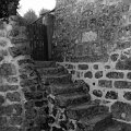 WP_001184
