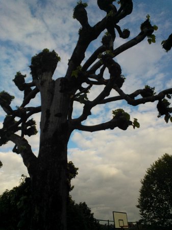 WP_001415