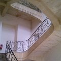 WP_001411