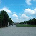 WP_001684