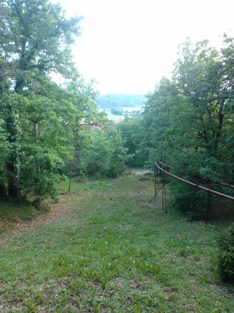 WP_001998