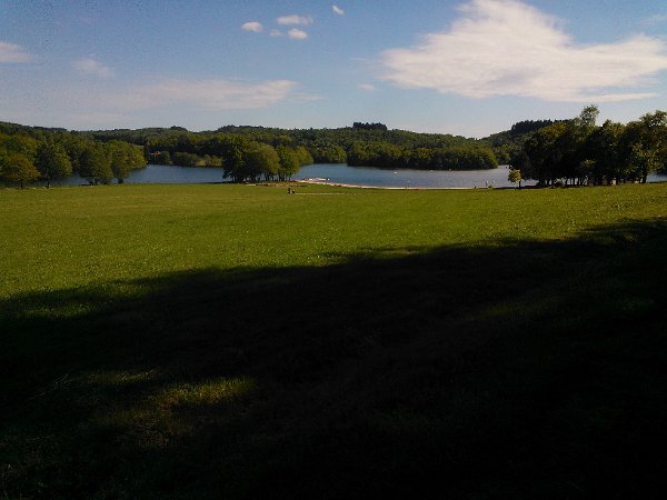 WP_002031