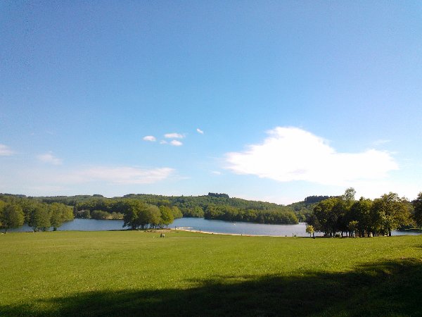 WP_002032