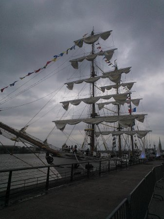 WP_002129