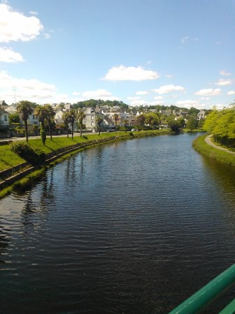 WP_002339