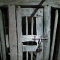 WP_001924