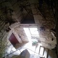 WP_001951