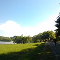 WP_002033