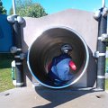 WP_002045