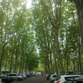 WP_002116