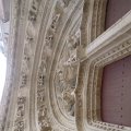 WP_002257