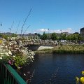 WP_002333