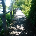 WP_002337