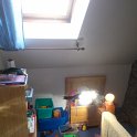 WP_002995