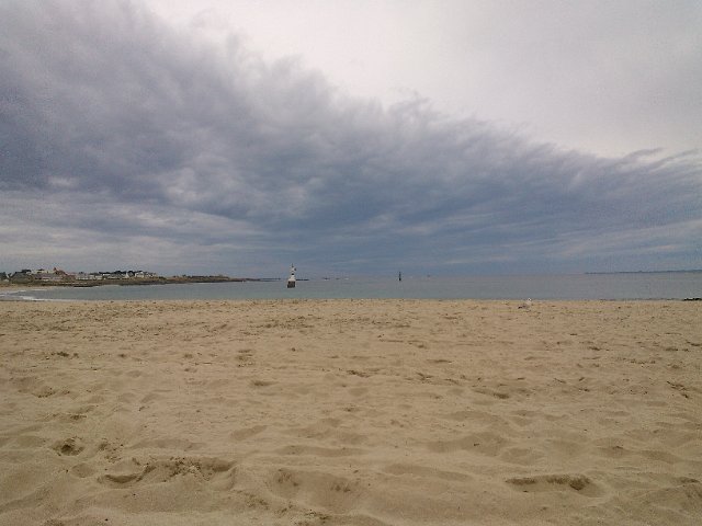 WP_003175