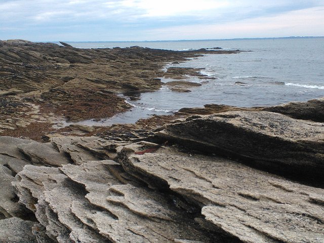WP_003192