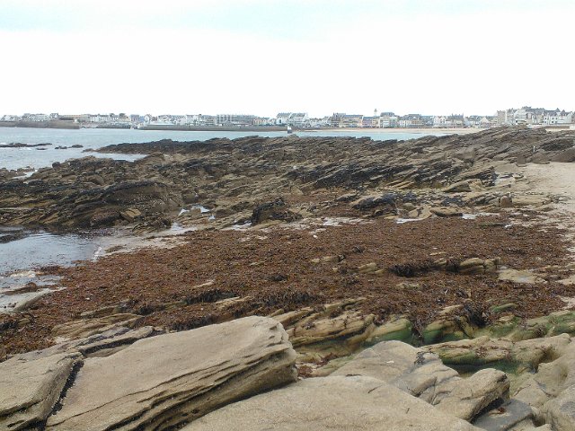 WP_003193
