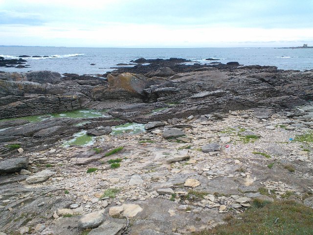 WP_003202