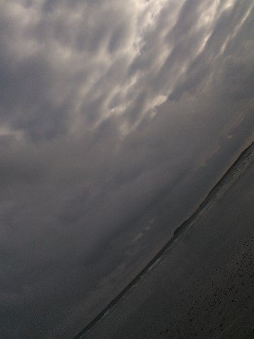 WP_003301