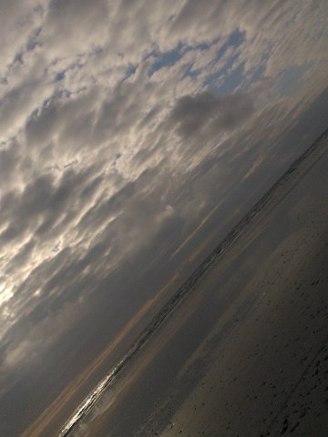 WP_003306
