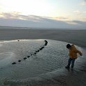 WP_003356