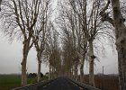 DSCF0841
