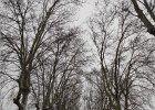 DSCF0843
