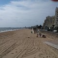 WP_003480