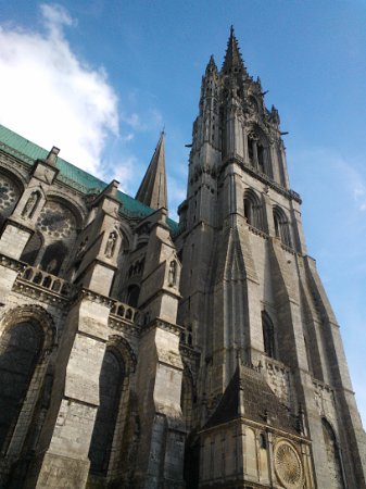 WP_003713