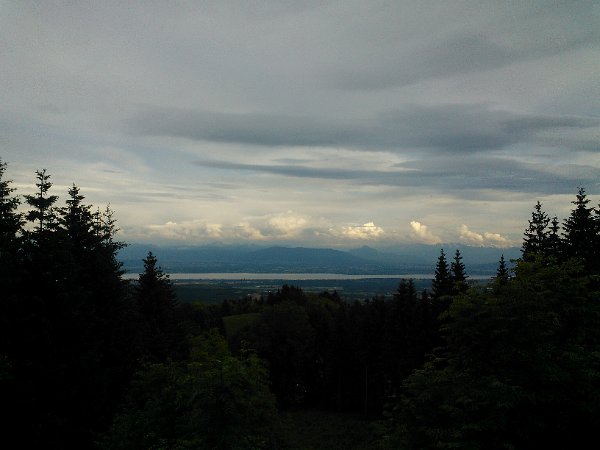 WP_003795