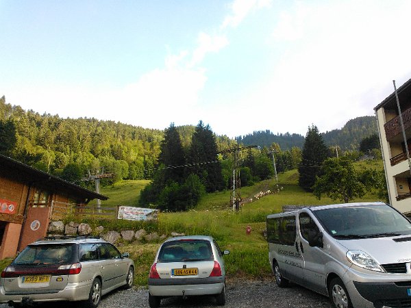 WP_003859