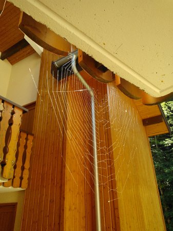 WP_003860