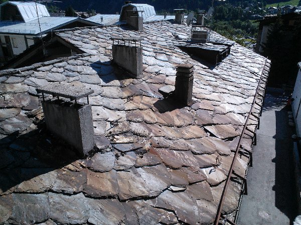 WP_003916