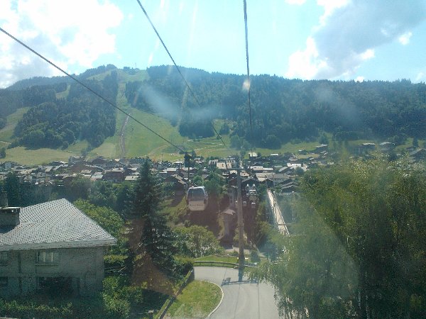 WP_003955