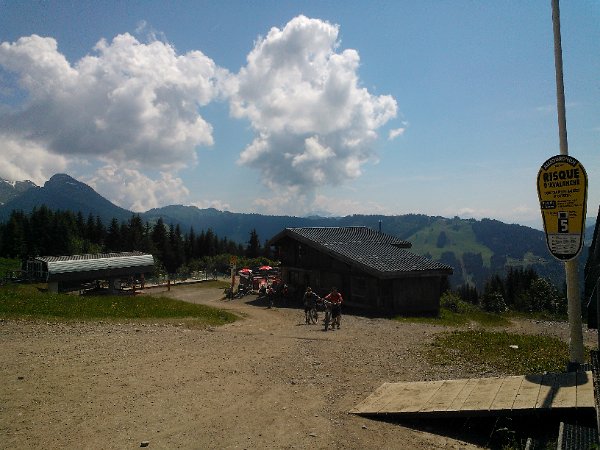 WP_003961